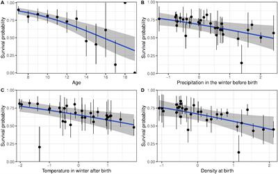 Do Early-Life Conditions Drive Variation in Senescence of Female Bighorn Sheep?